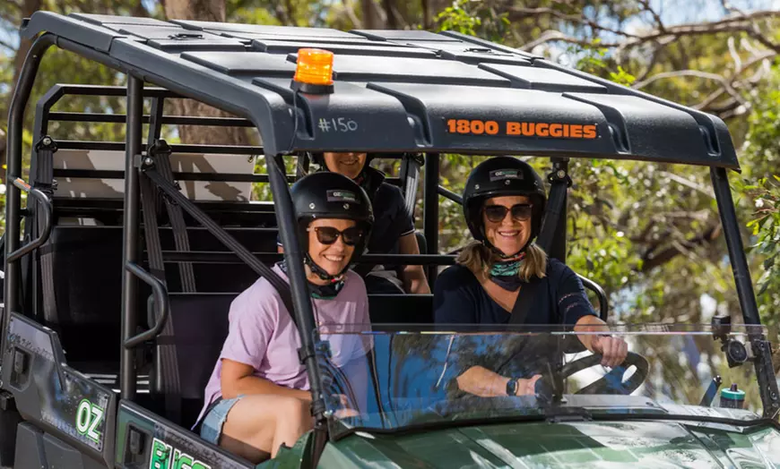 Image 3: Two-Hour Buggy Tour