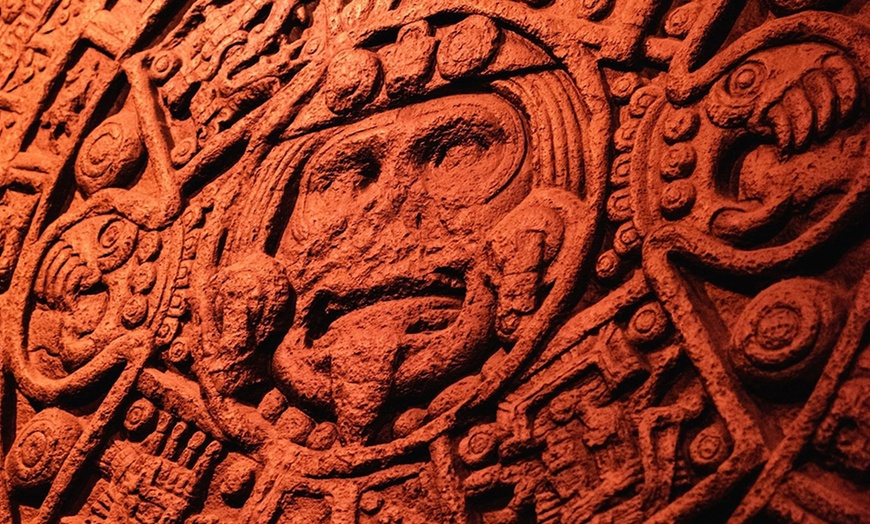 Image 4: Uncover Wonders at the Field Museum with an Audio Guide