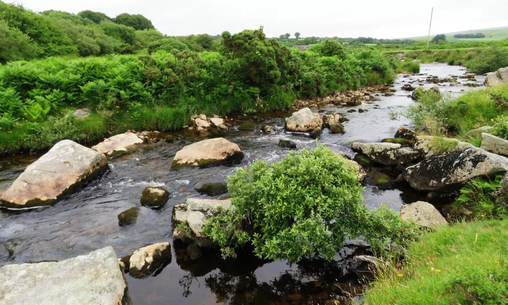 Devon: Two-Night Break with Breakfast, Welcome Drink & More