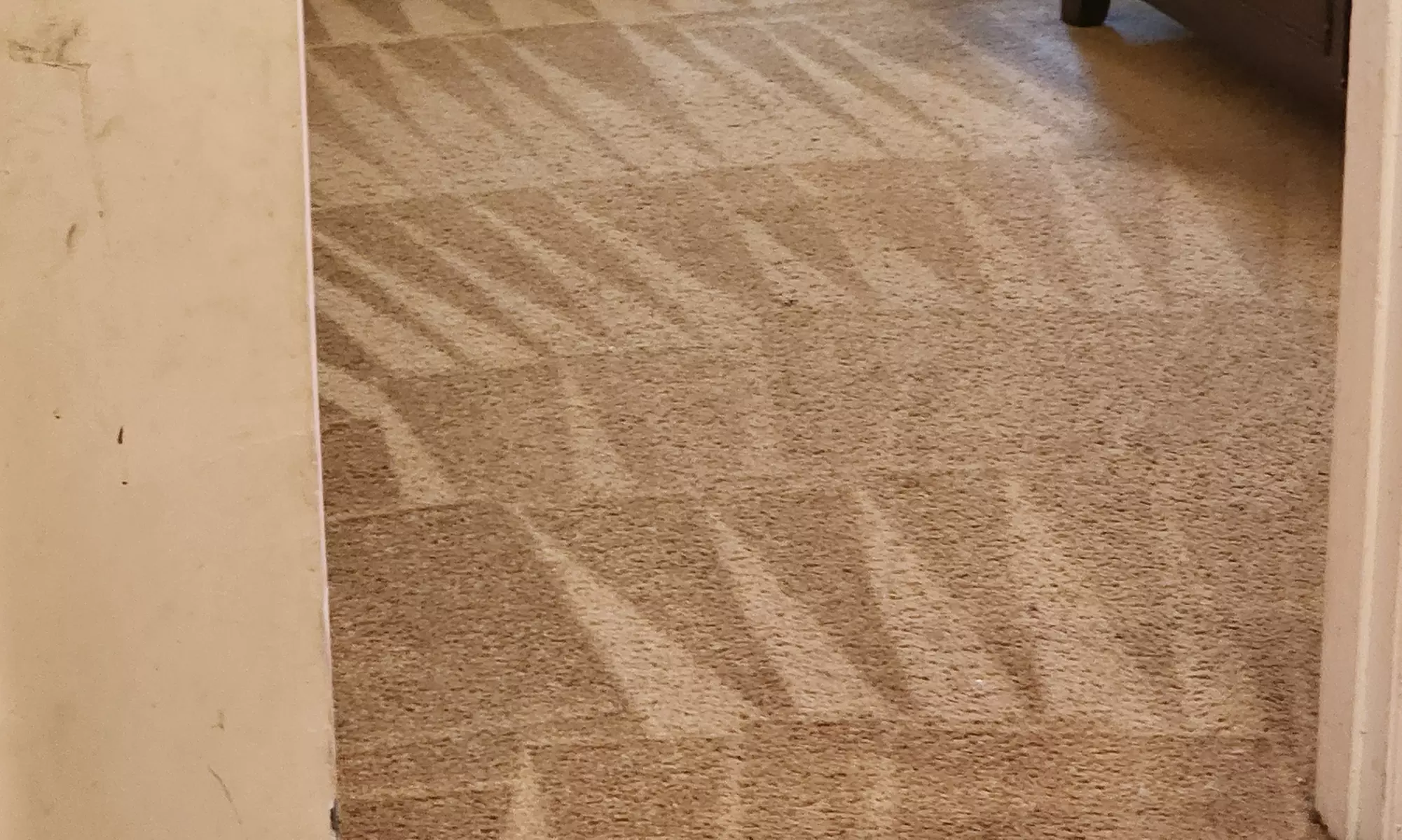 Get your carpets looking fresh with cleaning for 3 or 5 rooms