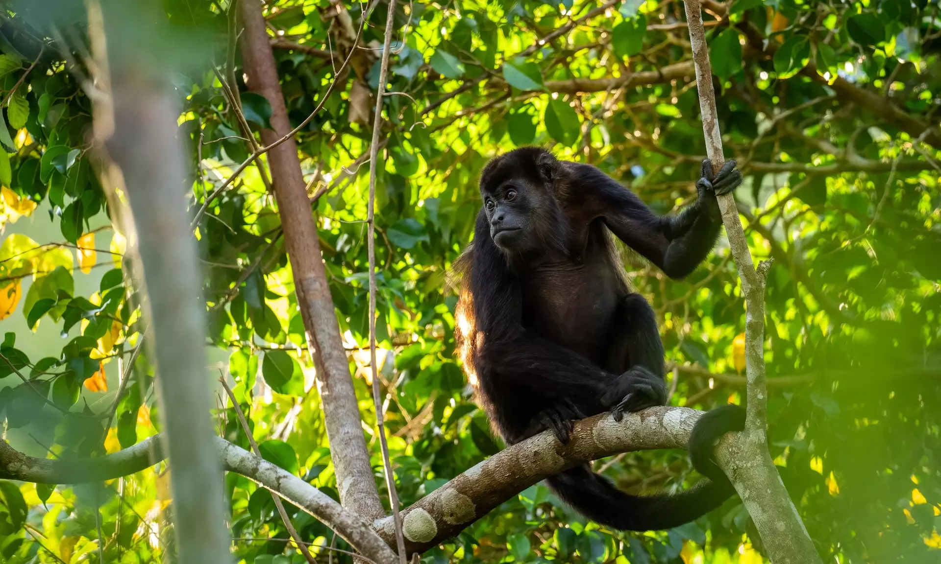 ✈ 12-Day Ultimate Costa Rica RoadTrip w/ Air, Hotel & Car from Worldee