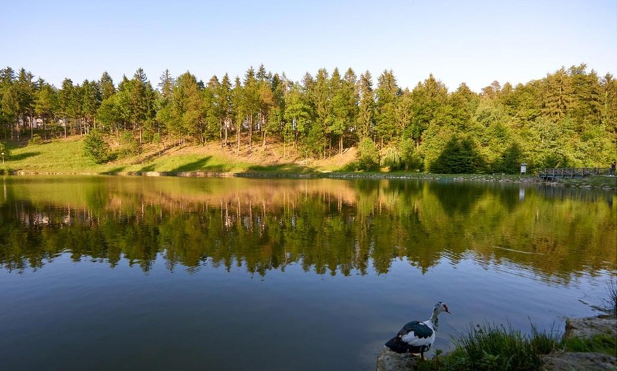 Image 16: Soggiorno in Slovenia 4*: mezza pensione con piscine all'Hotel Atrij