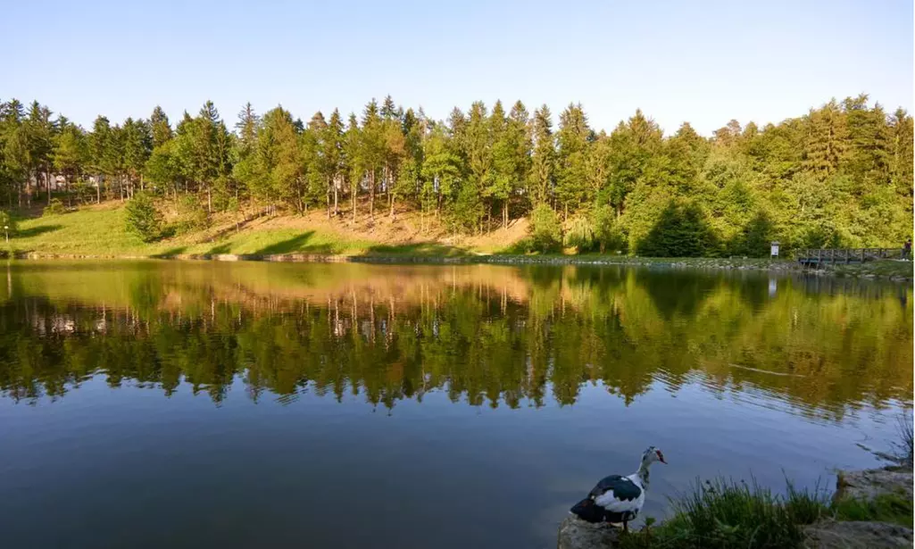 Soggiorno in Slovenia 4*: mezza pensione con piscine all'Hotel Atrij