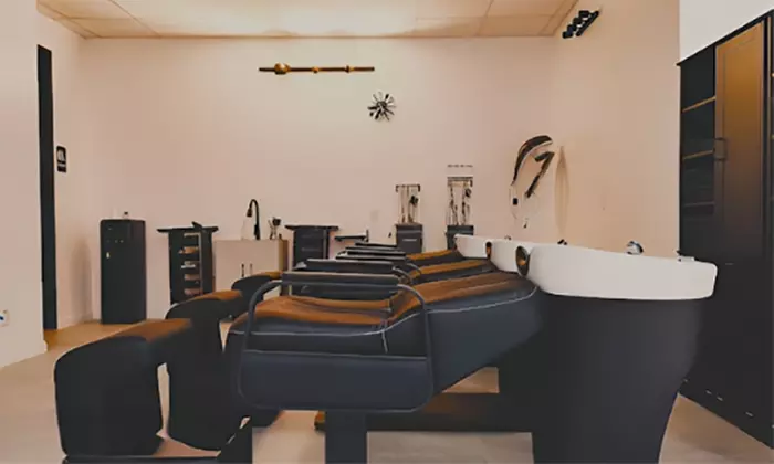 One Woman's Haircut, Hydration Treatment, Blow-Dry, Highlights & More