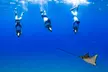 Morning Lana‘i Snorkeling Tour or Book a Private Charter with Kaanapali Ocean Adventures (Up to 10% Off)
 - Second Medium