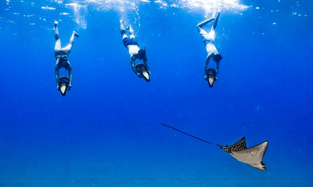 What to expect media