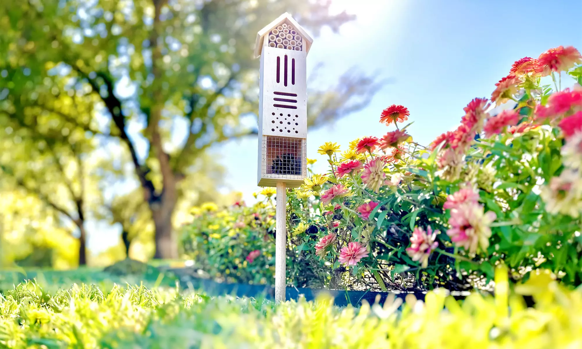 Hand Crafted Multicompartment Wooden Pollinating Houses for Bees & Butterflies