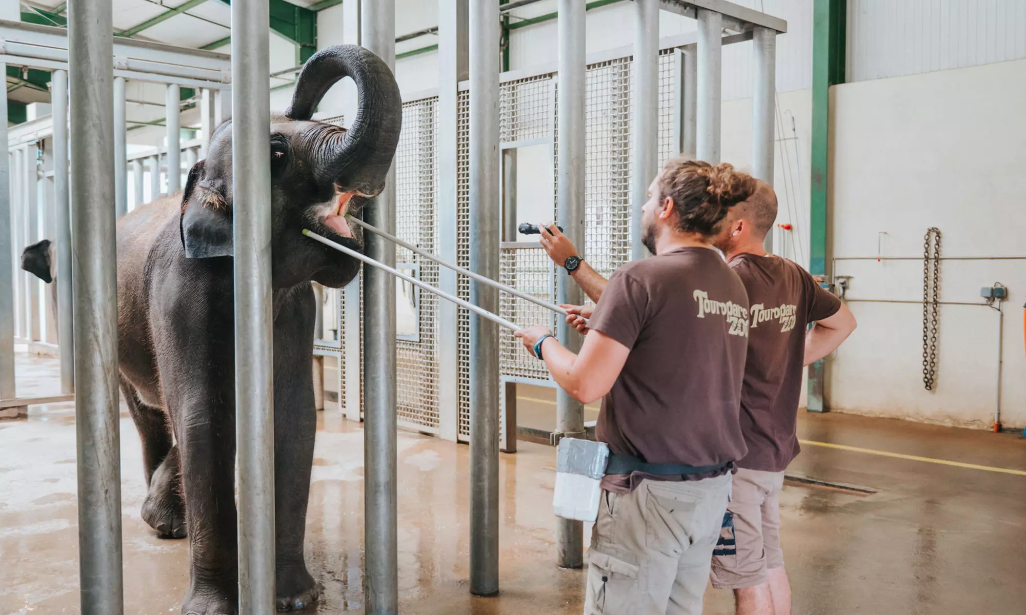 Vivre les missions d’un soigneur au Touroparc Zoo