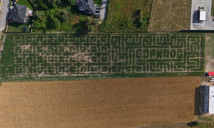 Image 3: Czas na zabawę: wejście do wielkiego labiryntu kukurydzy dla 1-8 osób