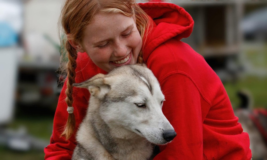 Image 3: Wandel, speel of knuffel met Husky’s  + optioneel een high tea