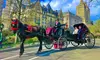 (Up to 35% Off) Central Park Carriage Rides – A Must for First-Time NYC Visitors