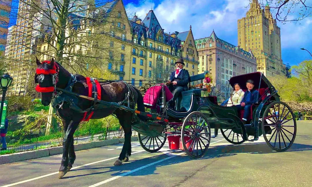 (Up to 35% Off) Central Park Carriage Rides – A Must for First-Time NYC Visitors - Primary Image