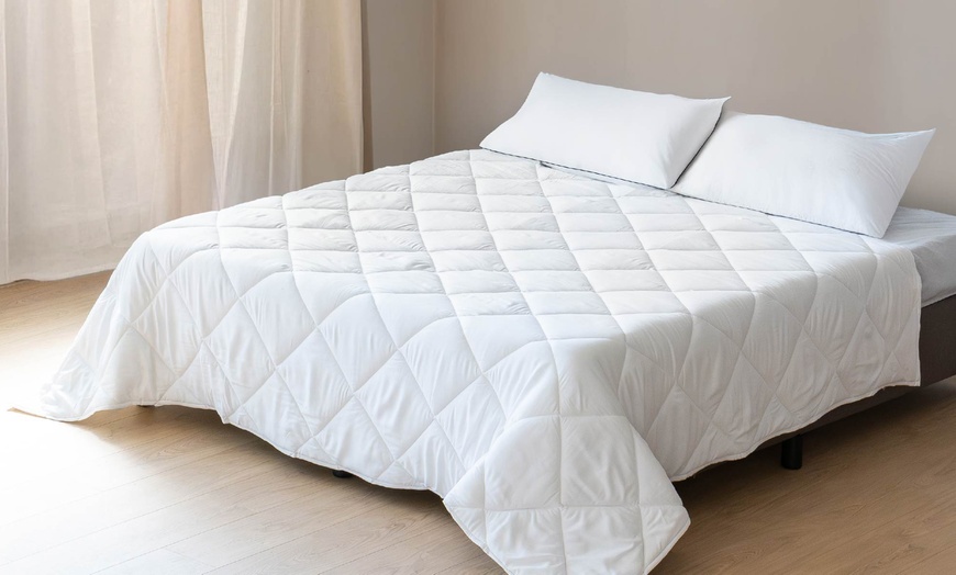 Image 1: Couette en microfibre hypoallergénique, 300 g/m²