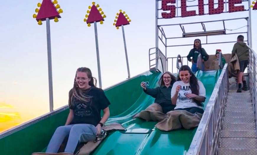 Image 2: Desert Farm Lights - Holiday Festival Admission for Two