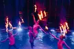 Abenteuer, Magie, Wasserzauber: Waterland Zirkus vom 06.03. - 10.04. in Freiburg & Nürnberg (bis zu 30% sparen) - Second Medium