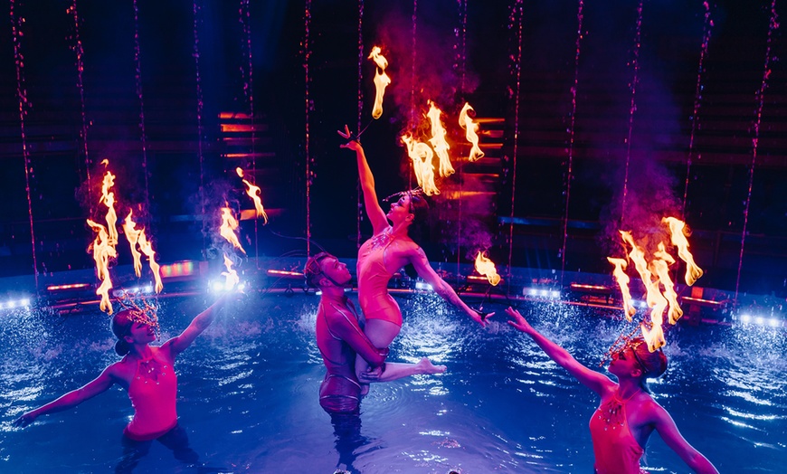 Image 2: Ticket für den "Waterland Zirkus"