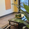 Image 1: Up to 69% Off on Non-Surgical Butt Lift at Sculpting Elegance At The Body Atelier