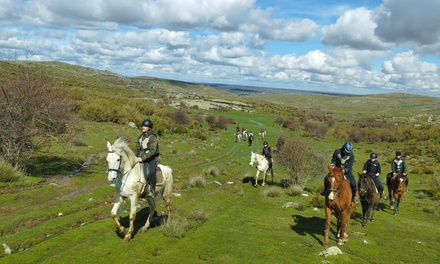 Para 2 personas: Paseo a caballo durante 1 hora - Centro Hípico Doble G