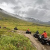 Image 7: Enjoy ATV or UTV Scenic Tours in the Real Alaskan Backcountry