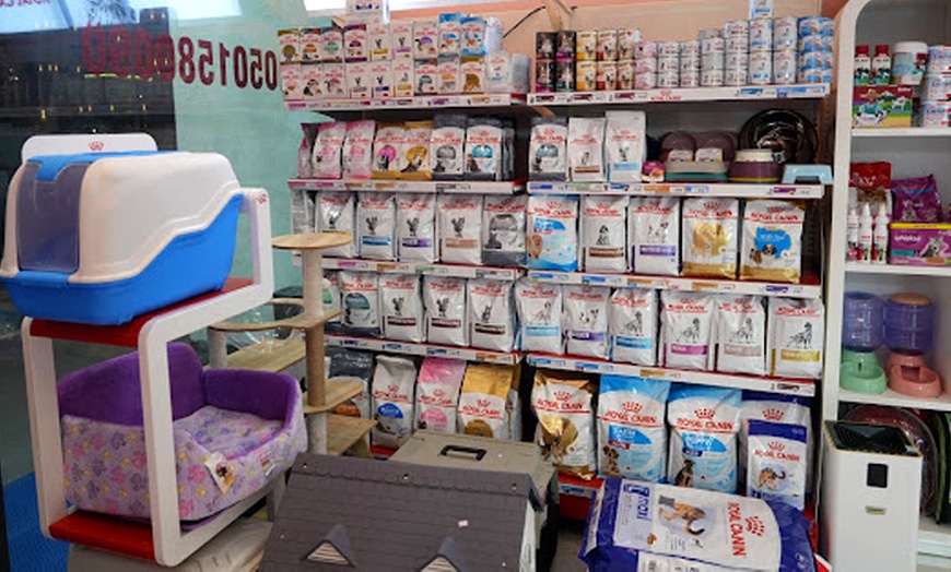 Image 5: Pamper Your Pet w/ Full Grooming for Cats & Dogs (Under or Over 20kg)