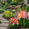Image 26: Graduation Flower Bulb Collections