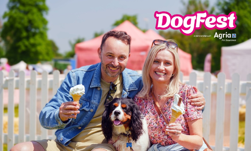 Image 1: DogFest 2025 | Your Favorite Dog-Friendly Festival 
