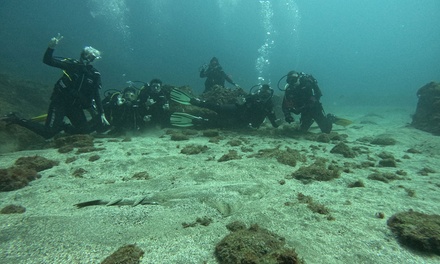 Una sesión bautismo de buceo para 1 persona - DSDIVERS Gran Canaria