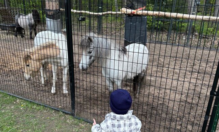 Image 3: Experience One Hour Petting Animals & Farm Tour for One, Two, or Four 