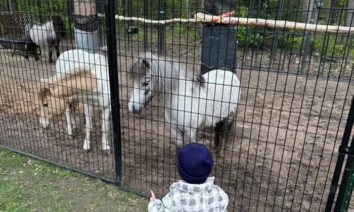 Experience One Hour Petting Animals & Farm Tour for One, Two, or Four