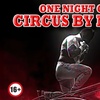 Image 1: Ticket to Circus By Night – March 14 to June 8