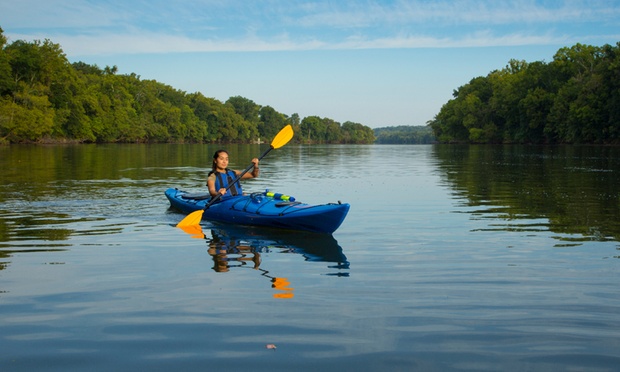 What to expect media