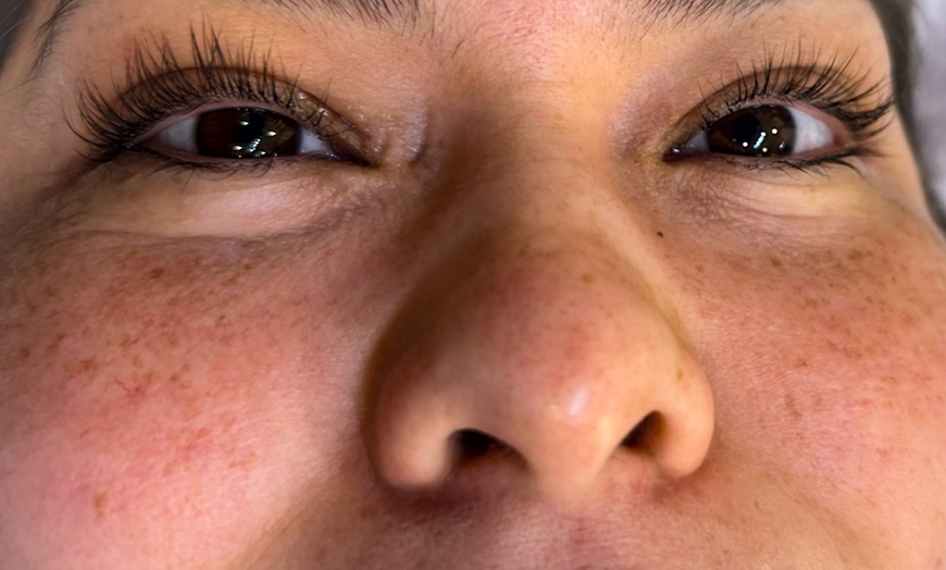 Image 5: Lavish Lashes, Brow, Or Facial with Optional Brazilian Deal