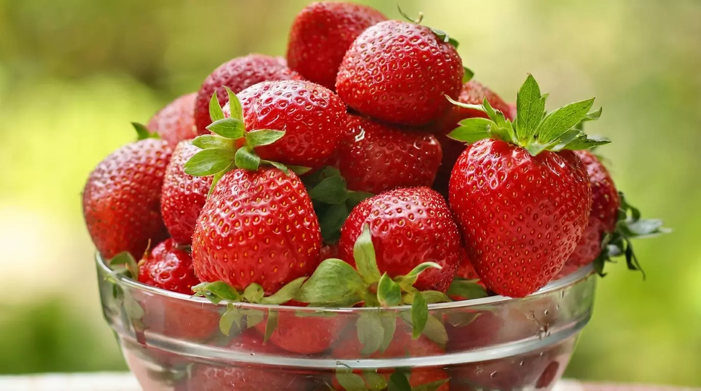 Strawberry All Season Collection - 20 or 40 Plants