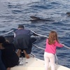 Image 6: Excursión de 2 horas en yate exclusivo para ver ballenas y delfines 