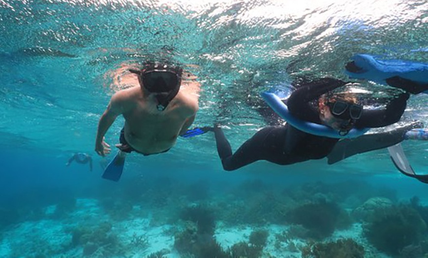 Image 6: Bautismo de esnórquel desde la playa para 1 o 2 personas 