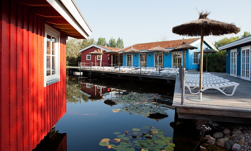 Image 6: Tageskarte WONNEMAR Wismar
