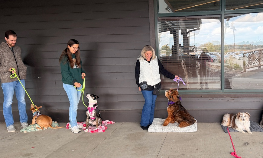 Image 5: Engage Your Pup with Games and Lessons