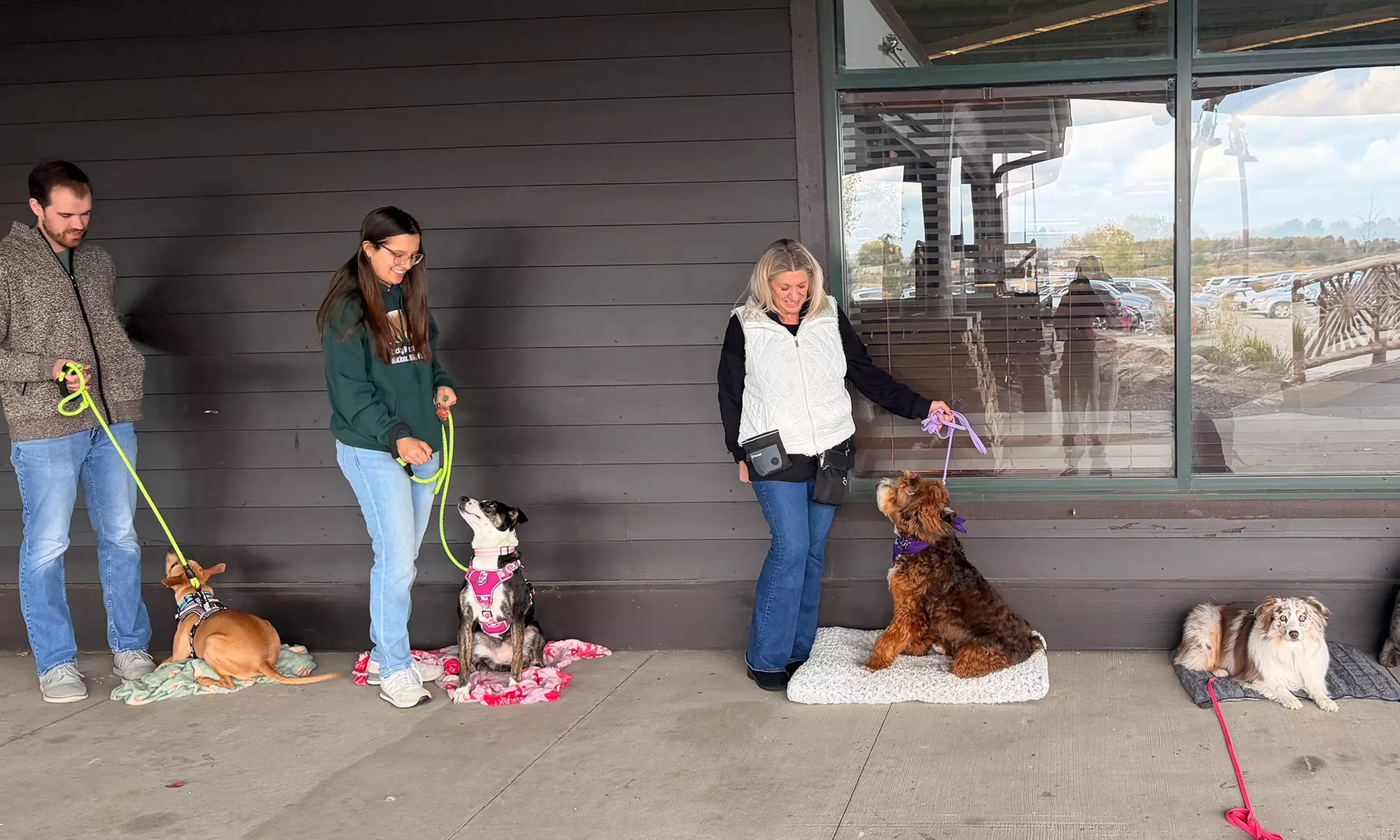 Engage Your Pup with Games and Lessons