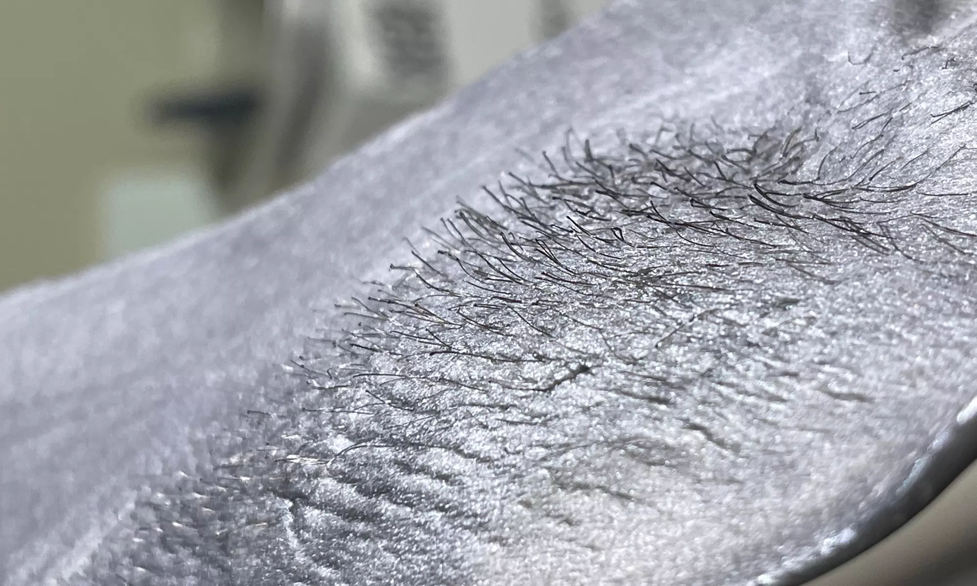 One, Three, or Five Brazilian or Bikini Waxing Sessions Using Hard Wax