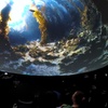 Image 5: Experience Ocean Wonders in 360° Movie with Up To Eight Tickets