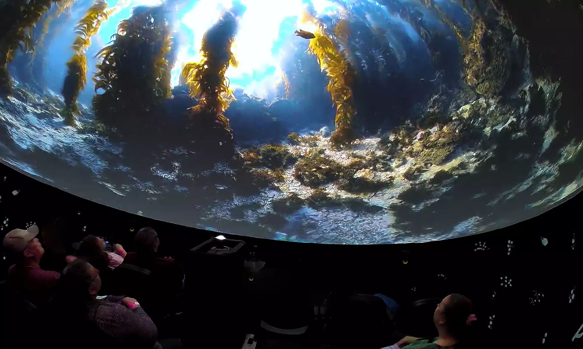 Experience Ocean Wonders in 360° Movie with Up To Eight Tickets