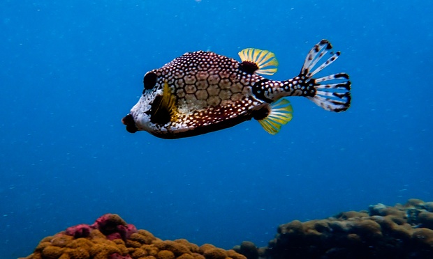 What to expect media