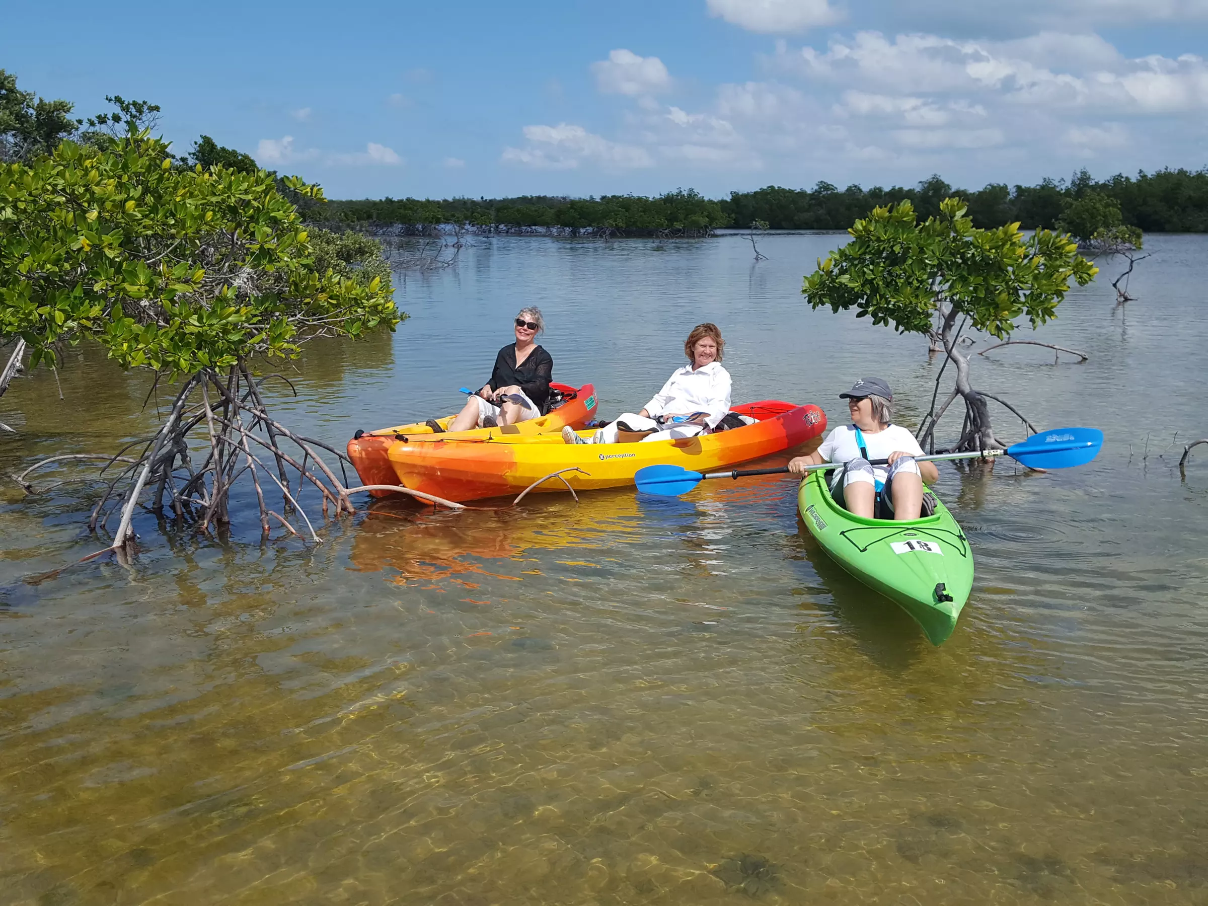 Mangrove Island Kayak Experience for Two, Four, or Six at Big Pine Kayak Adventures (Up to 45% Off) - Primary Image