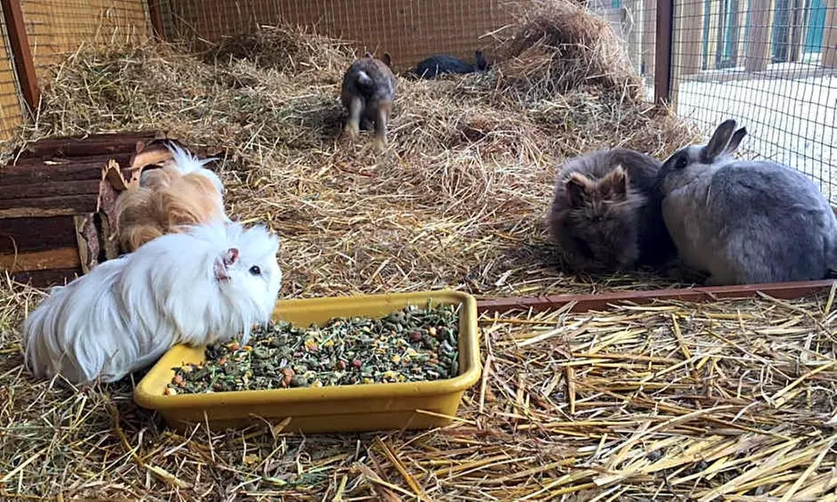 Disneyland Paris: 1 o 2 notti in hotel più ingresso al parco