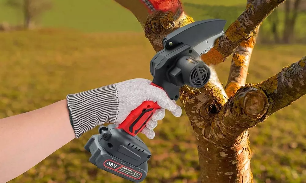 Mini motosega elettrica cordless