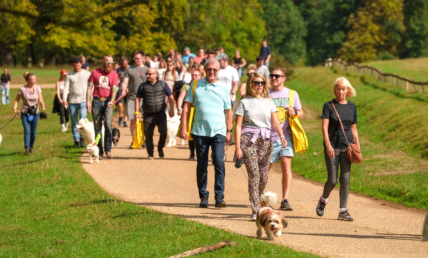 Image 5: DogFest 2025 | Your Favorite Dog-Friendly Festival 