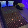 Image 6:  Infrared Dry Sauna + Red light Therapy + Cold Plunge PEMF+24/7 Access