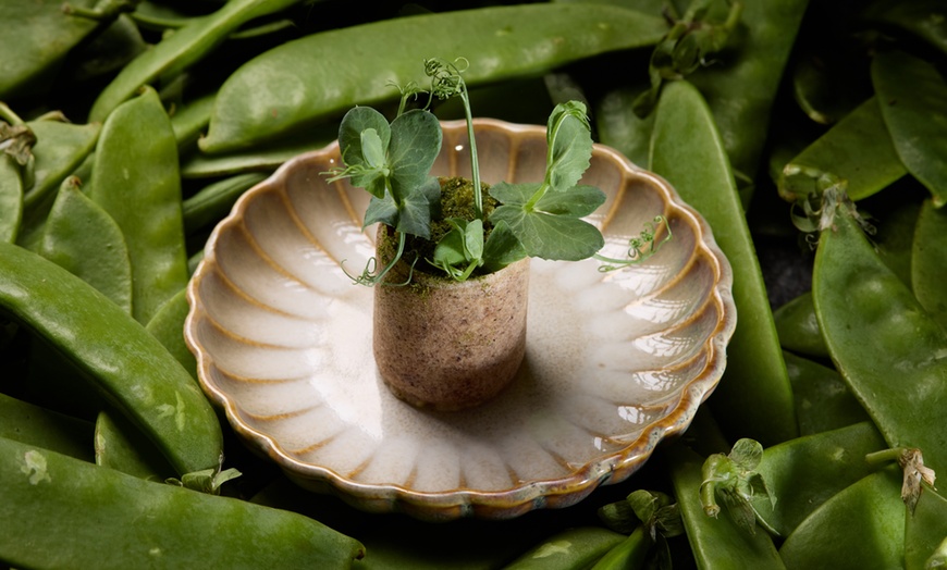 Image 15: Taste the Flavors of Native Australian 12-Course Menu w/ Prosecco