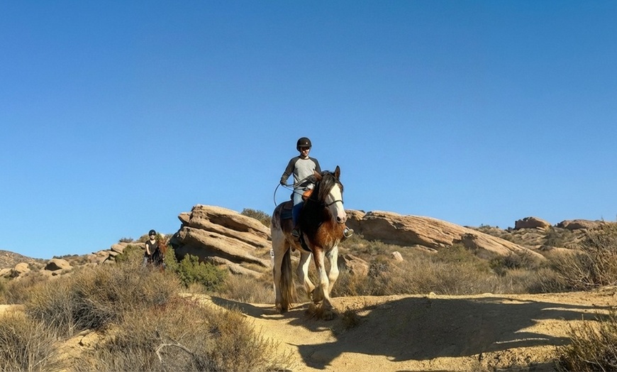 Image 2: Guided Horseback Riding: Sunset, Adventure & Beach Trails