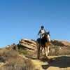 Image 2: Guided Horseback Riding: Sunset, Adventure & Beach Trails